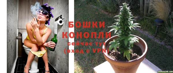 тгк Магадан