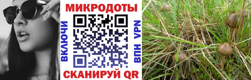 Галлюциногенные грибы мухоморы Чебоксары