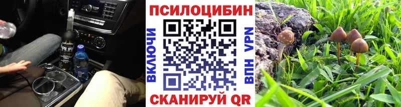 Псилоцибиновые грибы GOLDEN TEACHER  Купить закладки  Чебоксары 